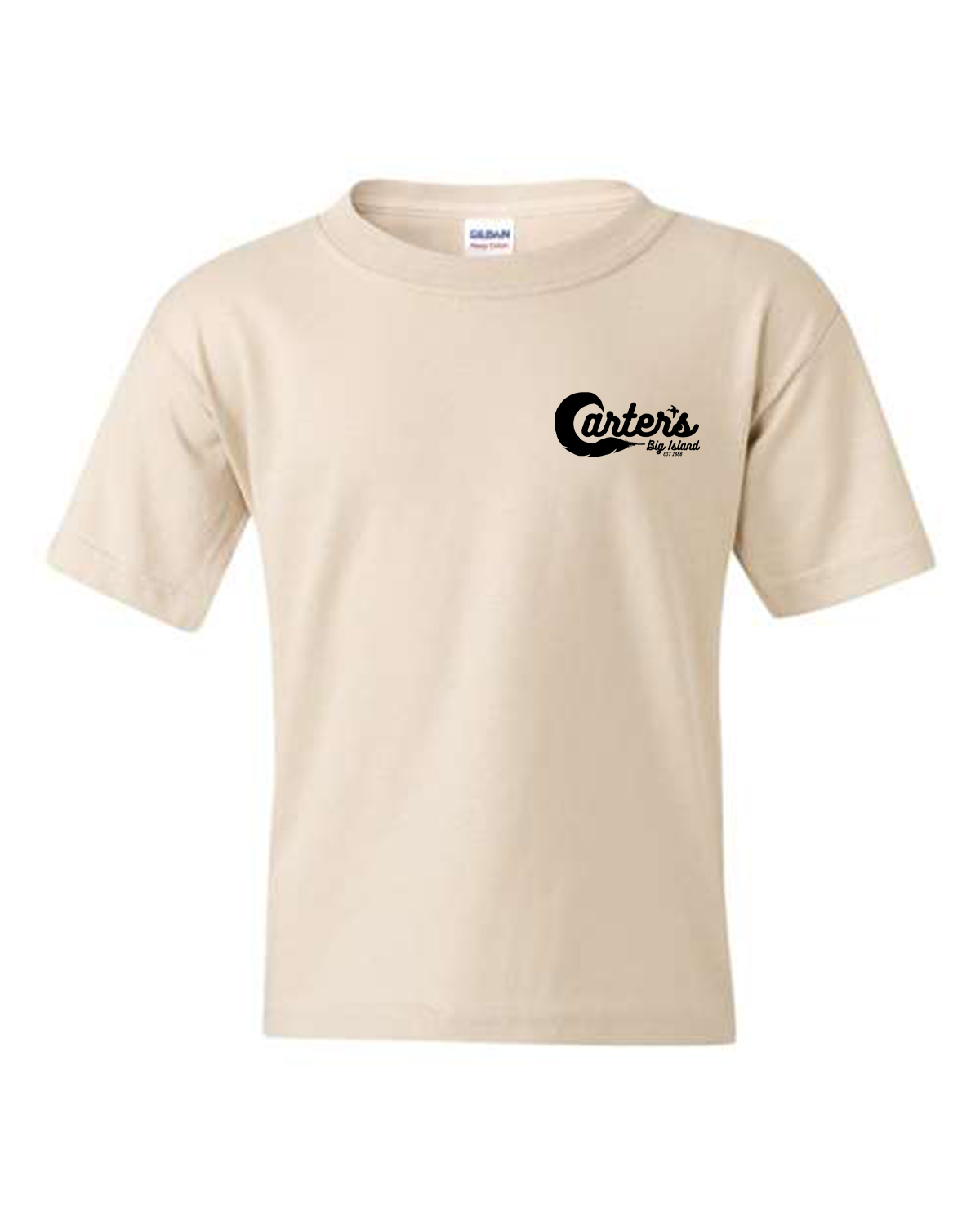 Live CBI Youth Tee