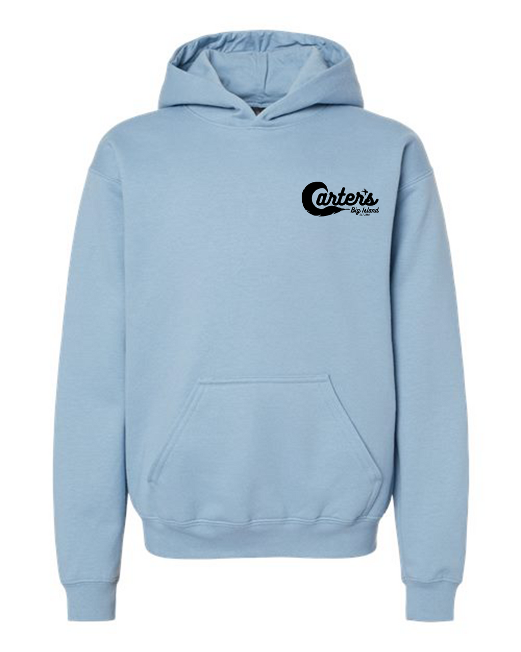 Pass it on Youth Hoodie